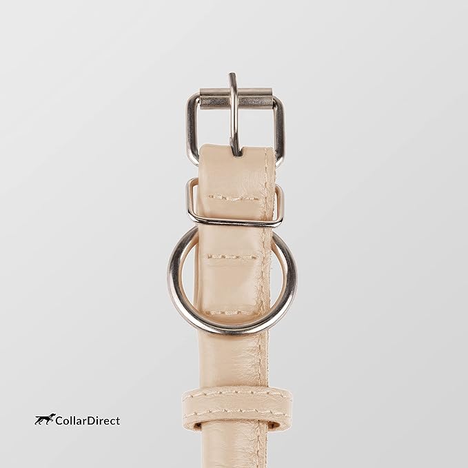 CollarDirect Rolled Leather Dog Collar, Soft Padded Round Puppy Collar, Handmade Genuine Leather Collar Dog Small Large Cat Collars 13 Colors (15-19 Inch, Beige Textured)-PawvioPets