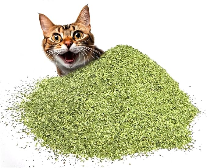Fiend Catnip Safety-Cut 100% Pure Potent Fine Cat Nip for Cats & Kittens – Ultra Potent, North American – 1 Cup (34.5g) Canister – Go Ahead, Create a Monster!-PawvioPets