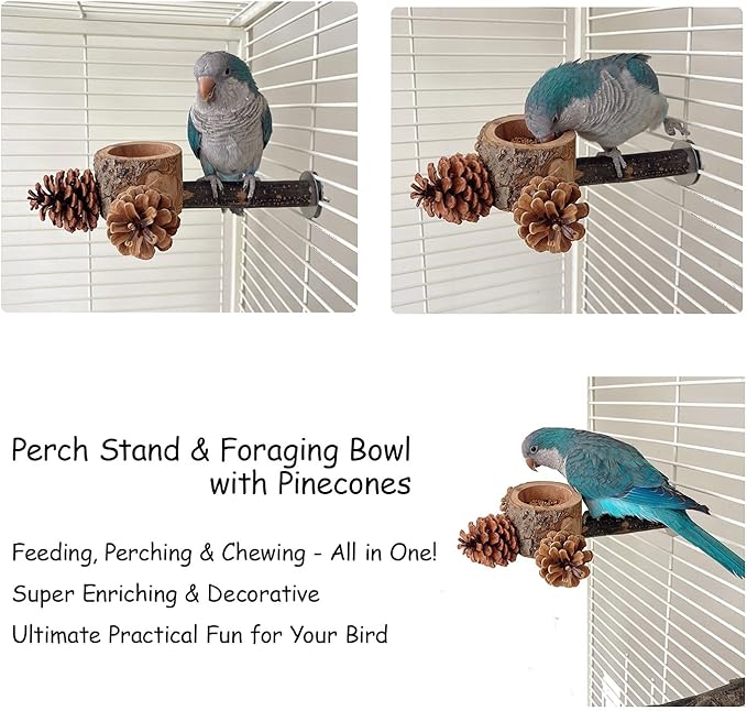 Bird Perch with Safe Bowl Wood & Pinecones - Bird Toys Chew Toys 100% Natural & Durable for Cockatiel, Conure, Budgie, Lovebird, Parakeet - Birdcage Accessory for Foraging & Oral Health-PawvioPets