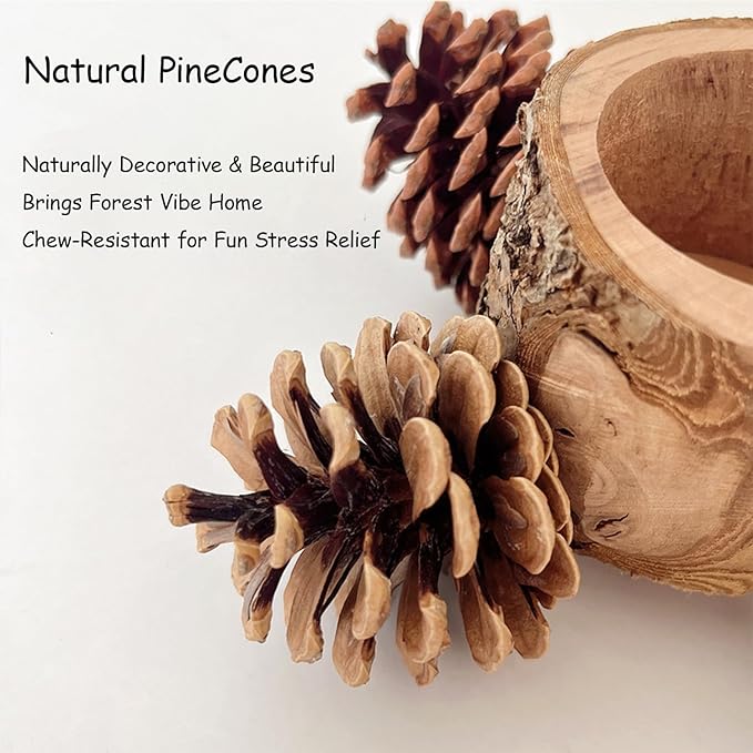 Bird Perch with Safe Bowl Wood & Pinecones - Bird Toys Chew Toys 100% Natural & Durable for Cockatiel, Conure, Budgie, Lovebird, Parakeet - Birdcage Accessory for Foraging & Oral Health-PawvioPets
