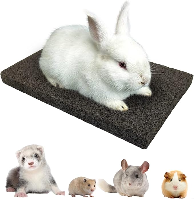 BNOSDM Rabbit Grinding Claw Pads Bunny Scratch Foot Pads Natural Hamster Lava Stone for Teeth Grinding Black Guinea Pig Scratching Board Chew Toy for Ferret Chinchilla Mouse-PawvioPets