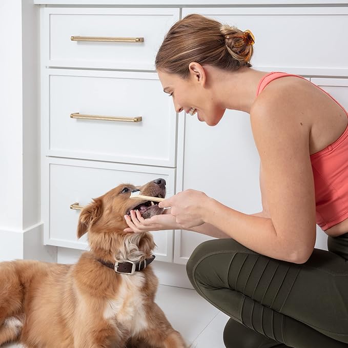 Dog Toothbrush I 4-Pack Two Sided Bamboo Toothbrush for Small and Large Dogs & Cats I Soft Bristles Gentle for Easy Dog Teeth Brushing & Dental Care-PawvioPets