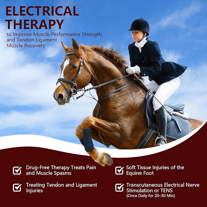 Cold Laser Therapy Device for Horse, Portable Red Light Therapy with 4pcs 808nm and 12pcs 650nm, Near Infrared Laser for Arthritis Pain Relief- Electrical Stimulation for Tendon, and Ligament Recover-PawvioPets