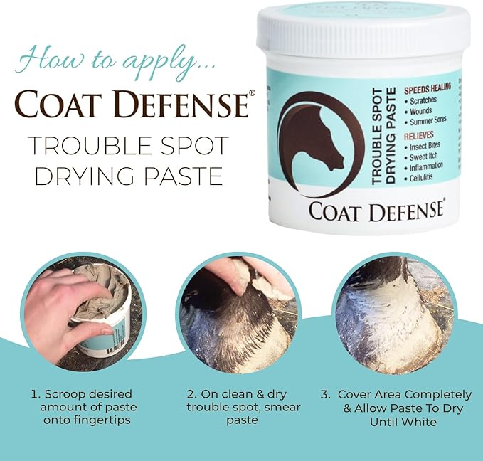 COAT DEFENSE Trouble Spot Drying Paste for Horses - Natural Equine Wound Care That Provides Safe & Effective Relief from Scratches, Sweet Itch, Summer Sores, Proud Flesh, Mud Fever, Girth Rot (24 Oz)-PawvioPets
