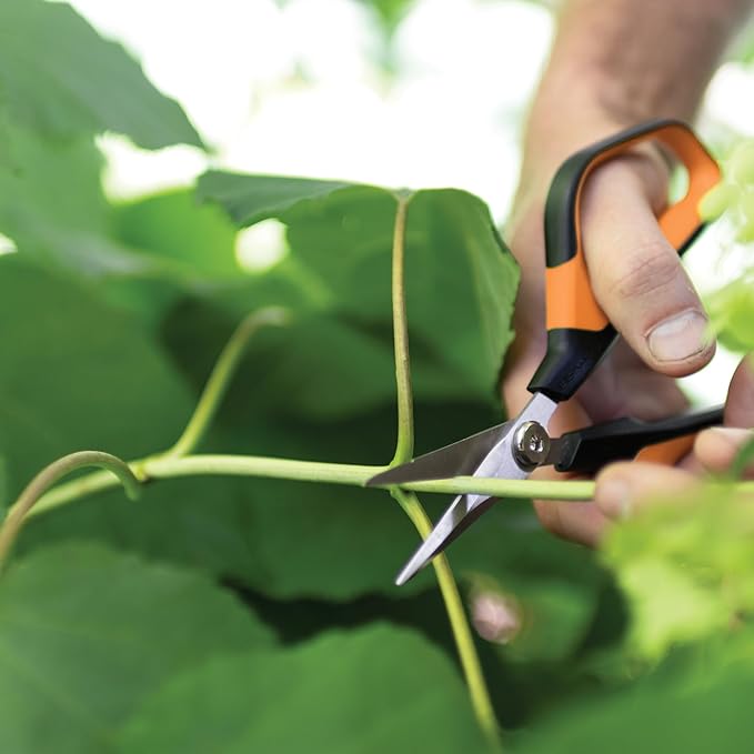 Fiskars Comfort Loop Micro-Tip Pruning Snips - 7" Garden Shears with Sheath and Extra Large SoftGrip Handle - Yard and Garden Tools - Orange/Black-PawvioPets
