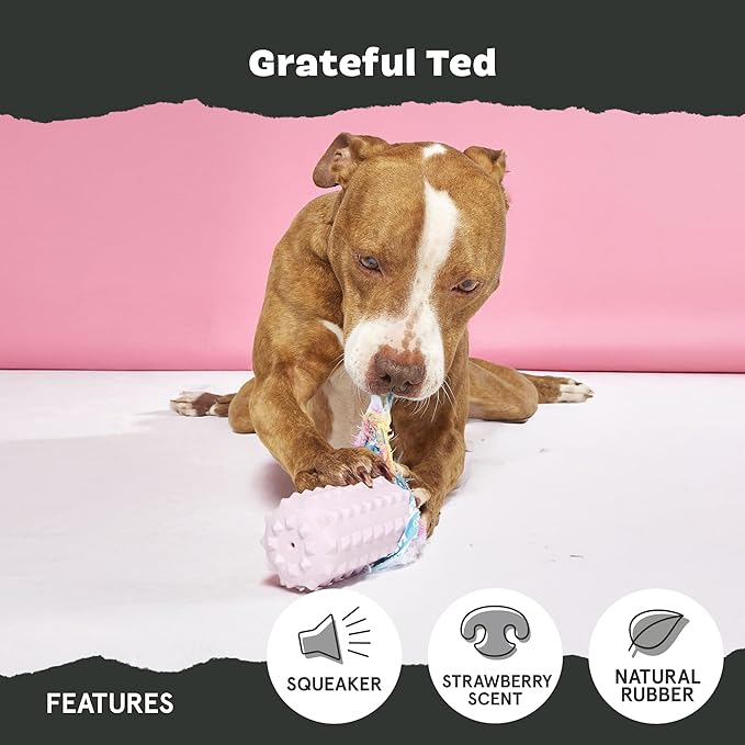 Barkbox Grateful Ted Dog Toy for Medium Dogs – Strawberry-Scented Rip & Reveal Toy for Determined Chewers and Interactive Playtime-PawvioPets