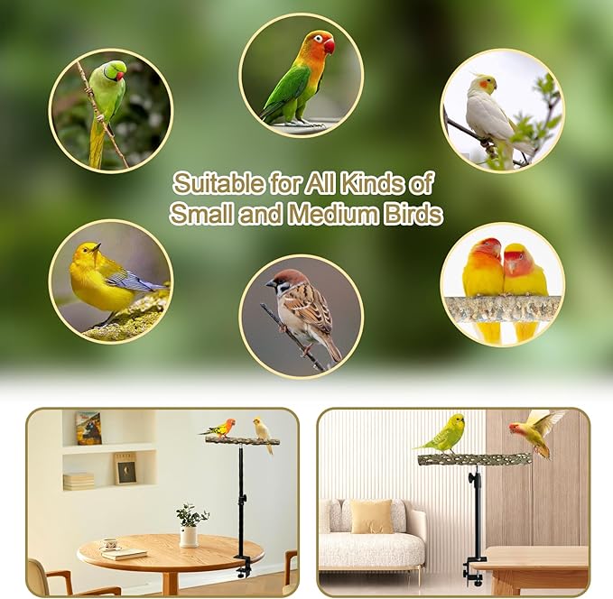 13-23 Inch Height Adjustable Desktop Bird Perch Pepper Wood Bird Training Perch Stand Parakeet Perches Indoor and Outdoor Parrot Stands for Small to Medium Bird-PawvioPets
