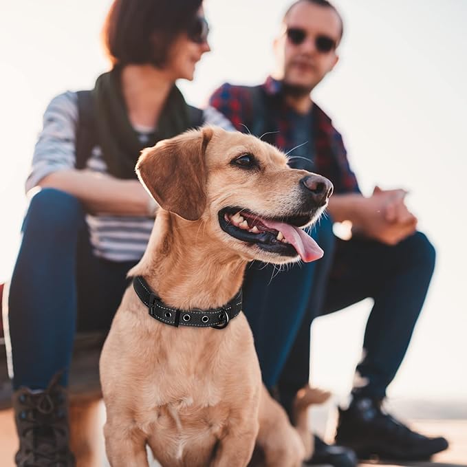 Fida Heavy Duty Dog Collar, Ultra Comfortable Soft Neoprene Padded, Adjustable Reflective Nylon Pet Collar with Durable Metal Belt Buckle for Small Breeds (S, Black)-PawvioPets