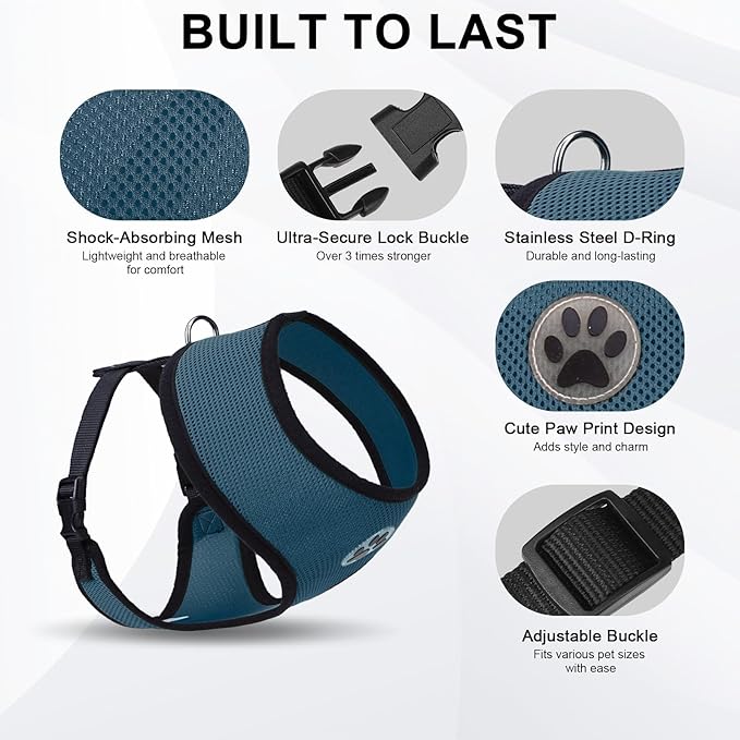 BINGPET Small Dog Harness - Breathable Mesh Puppy Cat Harnesses - No Pull Adjustable Dog Harness Dog Vest Harness for Small and Medium Dogs-PawvioPets