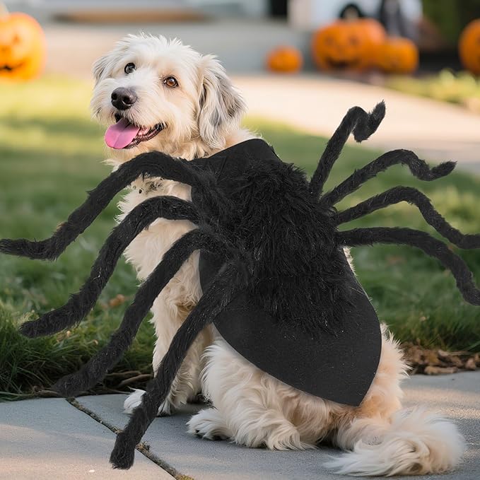 Dogs Halloween Spider Costume for Small Medium Large Dogs, Scary Spider Cosplay Apparel for Pets Cats Dogs Funny Halloween Outfits Clothes-PawvioPets