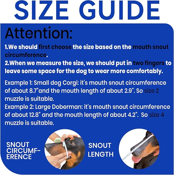 Dog Muzzle, Basket Muzzle for Small Medium Large Dogs, Anti-Biting and Chewing, Lightweight & Sturdy Cage Design, Allows Panting & Drinking, Ideal for Grooming & Training(Blue Size L)-PawvioPets