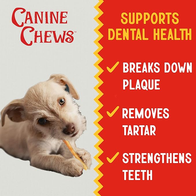 Canine Chews 5" Chicken Coated Sticks - Pack of 100 Chicken Wrapped Rawhide Dog Treats - 100% Real USA-Sourced Chicken Coating - Protein-Dense Chicken Wrapped Dog Treats Rawhide Chews-PawvioPets