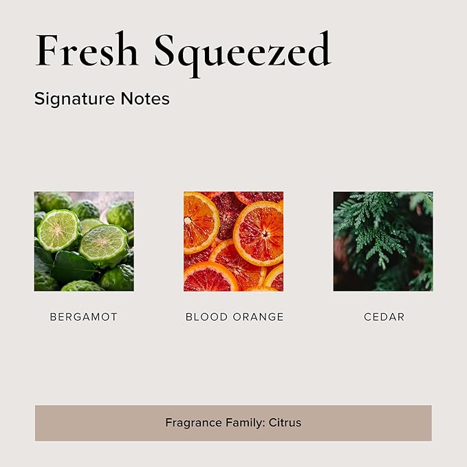 Fresh Squeezed Car Air Freshener - 4 Pack-PawvioPets