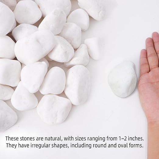 45LB 1"-2" White River Rocks for Plants, Polished Pebbles for Garden Landscaping, Planters, Aquariums, Vase Fillers – Indoor & Outdoor Decor-PawvioPets
