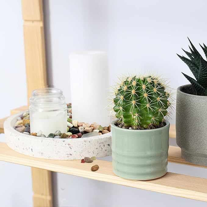 5lbs Small Succulent Rocks, 3/8 Inch Colorful Pebbles for Plants, Decorative Rocks for Plants Indoor, Vases, Planters and Outdoor Gardening Stones-PawvioPets