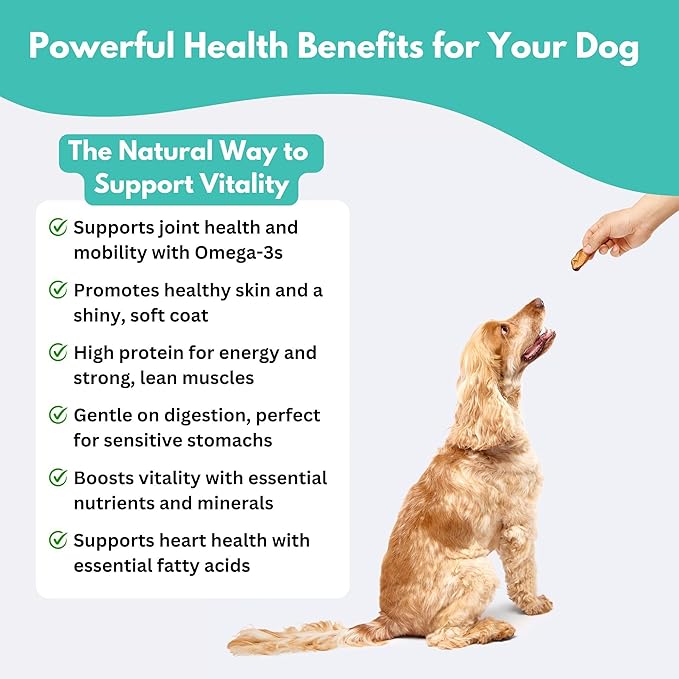 ALFIE'S TREATOS Salmon Skin Treats for Dogs & Cats (5.3 oz, 2x2.65 oz), Value Bundle, Air-Dried Fish Skin Dog Treats, Omega-3 Food Topper & Training, Single Ingredient, Freeze-Dried Alternative-PawvioPets