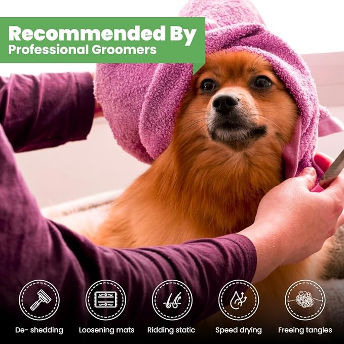 Best Shot Scentament Spa Seasonal Facial & Body Wash, Exotic Island, 16 oz-PawvioPets