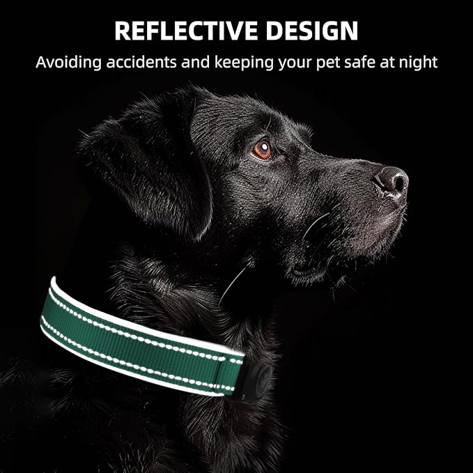 Airtag Dog Collar - 100% Waterproof Air tag Dog Collar Holder for Apple AirTag, Reflective, Soft Padded, Everlasting, GPS Dog Collar for Small Medium Large Dogs (Teal, XL)-PawvioPets