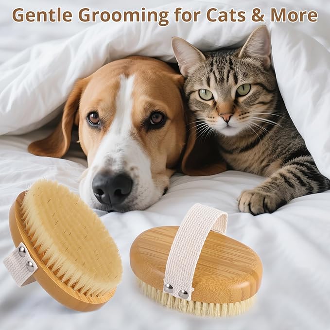 Boar Bristle Cat Brush for Indoor Cats, Cat Hair Brush Gentle Grooming, Reduce Shedding, Soft Hair and Healthy Shine, Bamboo Handheld with Soft Boar Bristles and Band for Short Haired Cats Dogs-PawvioPets