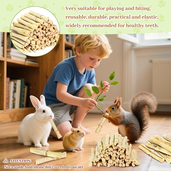 2lb Natural Sweet Bamboo Chew Toys for Small Pets - Organic Molar Sticks with Xylose & Vitamins for Rabbit, Guinea Pig, Hamster - Dental Care & Chewing Entertainment-PawvioPets