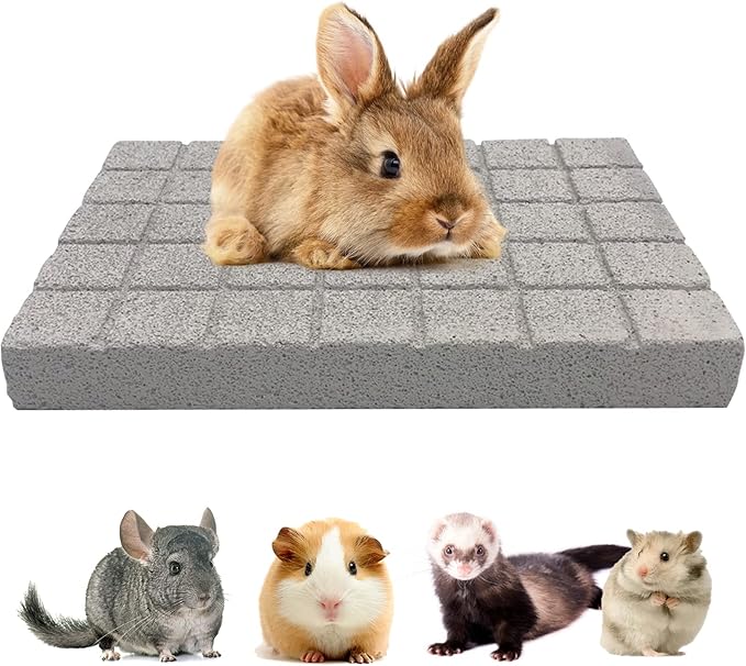 BNOSDM Rabbit Grinding Claw Pads Natural Hamster Lava Stone Teeth Grinding Scratching Pad Chew Toy for Small Animals-PawvioPets