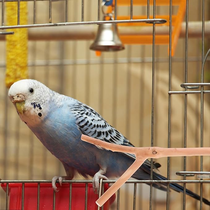 2pcs Bird Parrot Perch Stand Poles, Natural Wooden Parrot Perch for Cage, Branches Fork Rod for Small Parakeets Cockatiels Conure Lovebirds Bird Cage Accessories-PawvioPets