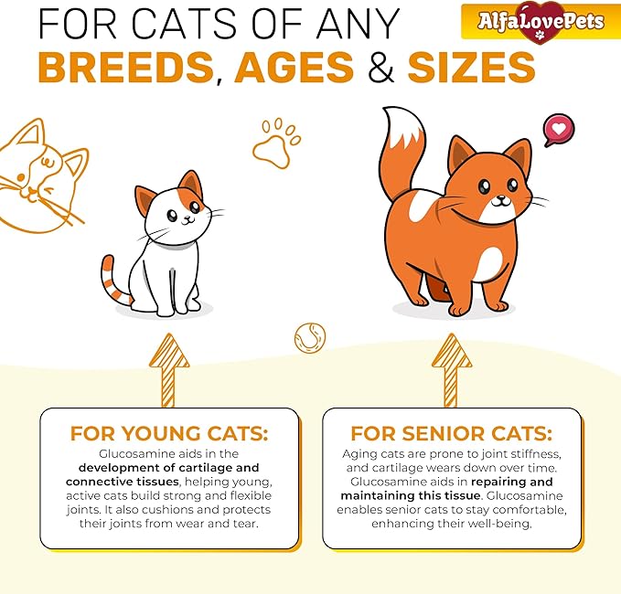 Cat Joint Supplement for All Breeds – Glucosamine for Cats and Kittens – Glucosamine, Chondroitin, MSM for Hip & Joint Care – Natural Ingredients with Chicken Flavor – 2 Oz-PawvioPets