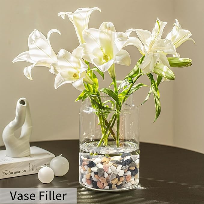 5 lbs Succulent and Cactus Pebbles for Indoor Plants, 3/8 Inch Pea Gravel Decorative River Rocks for Plants, Vases, Terrarium, Aquarium, Potted Top Dressing and Outdoor Landscaping Stones-PawvioPets