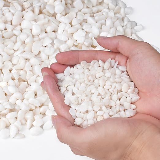 5 lbs White Aquarium Gravel, 1/5 Inch White Rocks for Plants, Small Pebbles for Vases, Succulents, Bamboo, Natural Decorative Pebbles for Plants Drainage, Cactus, Crafts-PawvioPets
