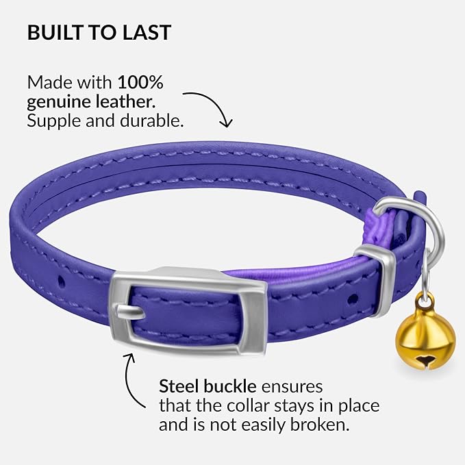 CollarDirect Leather Cat Collar with Bell - Kitten Collar, Small and Big Cat for Boy Cats, Girl Cats with Safety Elastic Strap (Neck Fit 8"-11", Purple)-PawvioPets