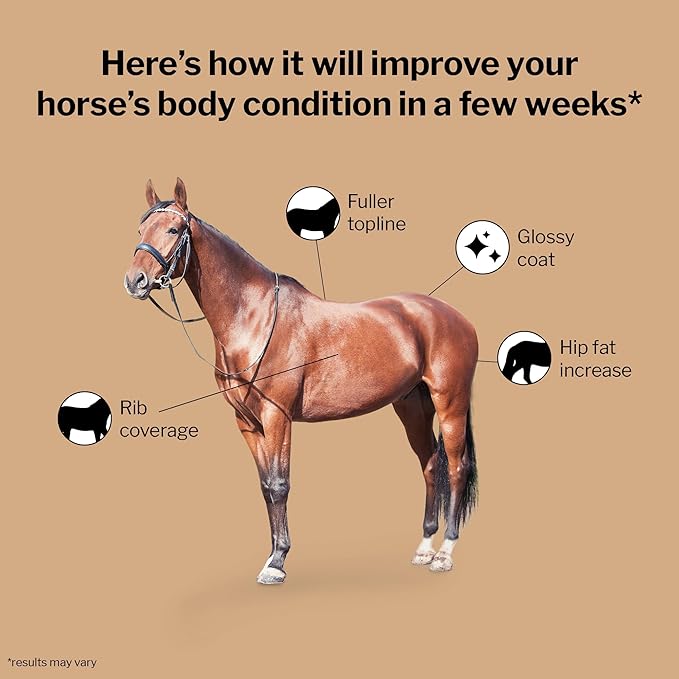 Formula 707 Weight Gain Equine Supplement, Daily Fresh Packs, 28 Day Supply - Palatable, Calorie-Rich Nutritional Support for Hard-to-Keep and Senior Horses-PawvioPets