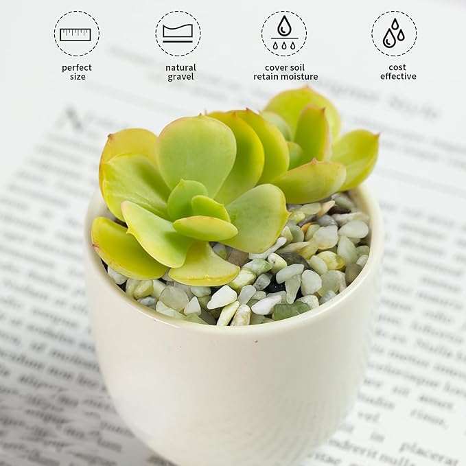 2 lbs Jade Rocks for Plants Indoor, 1/4 inch Small Pebbles for Plants, Decorative Rocks for Succulents Cactus Vases Landscaping Drainage and Outdoor Garden Rocks-PawvioPets