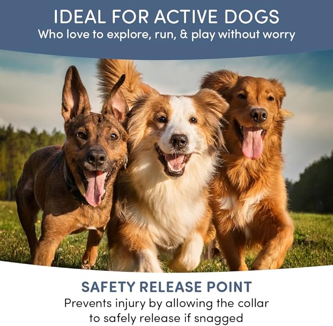 Flea and Tick Collar for Dogs, Cats – Natural Essential Oils – Long-Lasting 8 Month Protection – Waterproof, Adjustable – Safe for Puppies, Kittens, Sensitive Skin-PawvioPets