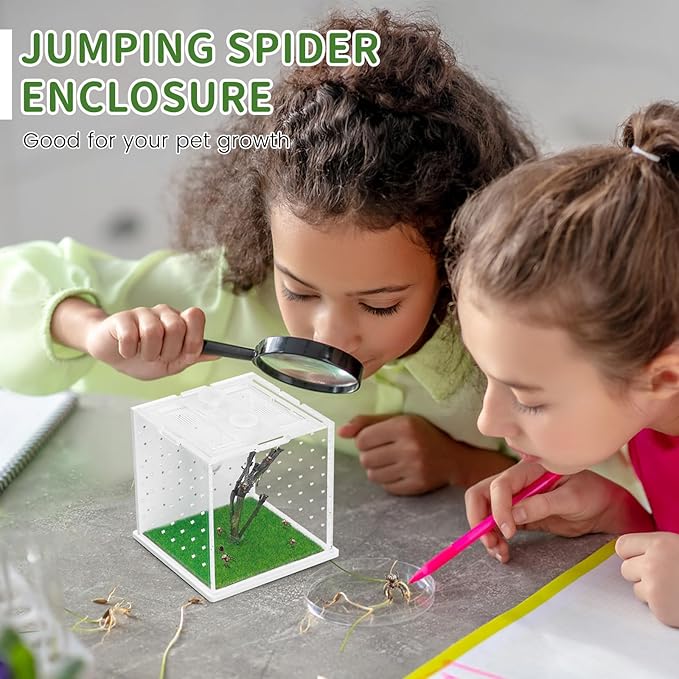 Acrylic Jumping Spider Enclosure, 2.95×2.95×2.87in Transparent Reptile Terrarium, Versatile Tarantula Enclosure for Small Reptiles/Insects, Small Reptile Tank with Dropper, Jumping Spider Accessories-PawvioPets