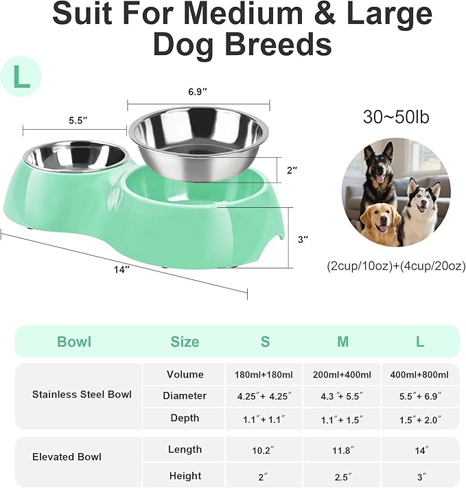 Elevated Dog Bowls Set - Non-Slip Raised Pet Feeder with Medium (2 Cups) & Large (4 Cups) Stainless Steel Bowls - Includes Durable Resin Stand for Puppies, Adult Dogs & Cats - Green-PawvioPets