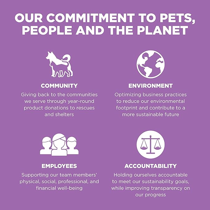 Go! Solutions Carnivore, Grain-Free, Protein Rich Dry Cat Food, Chicken, Turkey and Duck Recipe, 3 lb Bag-PawvioPets