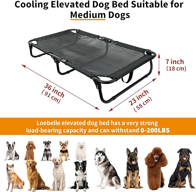 Elevated Dog Bed, Foldable Raised Dogs Bed Outdoor Dog Cots Beds for Large Dogs Cooling Outside Camping Chew-Proof No Assembly Need, Black-PawvioPets