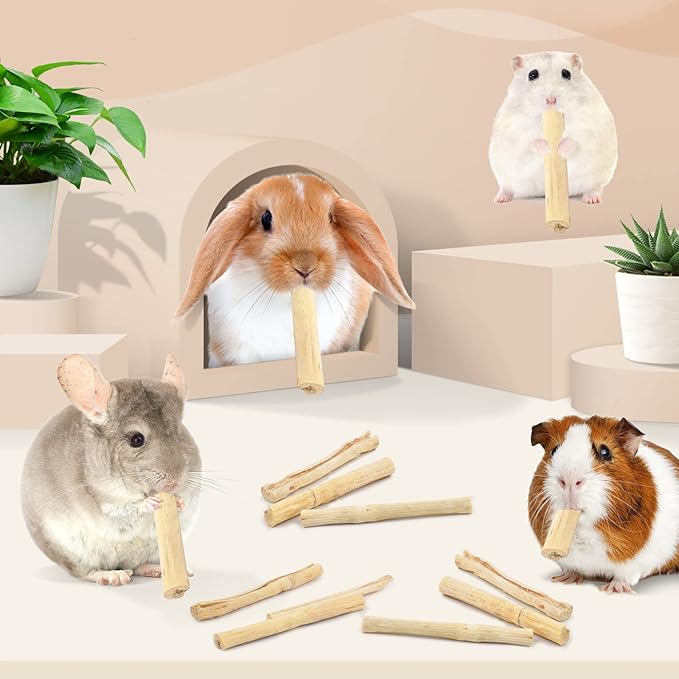 Bissap 145g/0.3Ib Sweet Bamboo Chew Sticks for Rabbits, Bunny Chew Sticks for Rabbits Hamster Chinchilla Guinea Pigs Rabbit Small Animals Natural Treats Teeth Grinding Chew Toys-PawvioPets