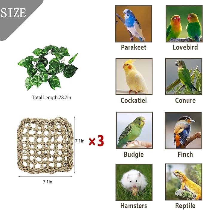 BNOSDM Bird Seagrass Mat, 3 PCS 7.1 x 7.1 Inches Parrot Natural Seagrass Woven Bird Net Hammock Mat, Parakeet Climbing Rope Ladder Chew Toys Hut Hideout for Lovebird Cockatiel Conure Budgie-PawvioPets