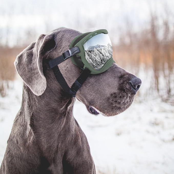 Dog Goggles for Large Dogs, UV Wind Dust Fog Protection, Soft Frame Adjustable Dog Sunglasses, Summer Driving & Winter Snow Eyewear, Tactical Pet Glasses with Elastic Strap (Green)-PawvioPets