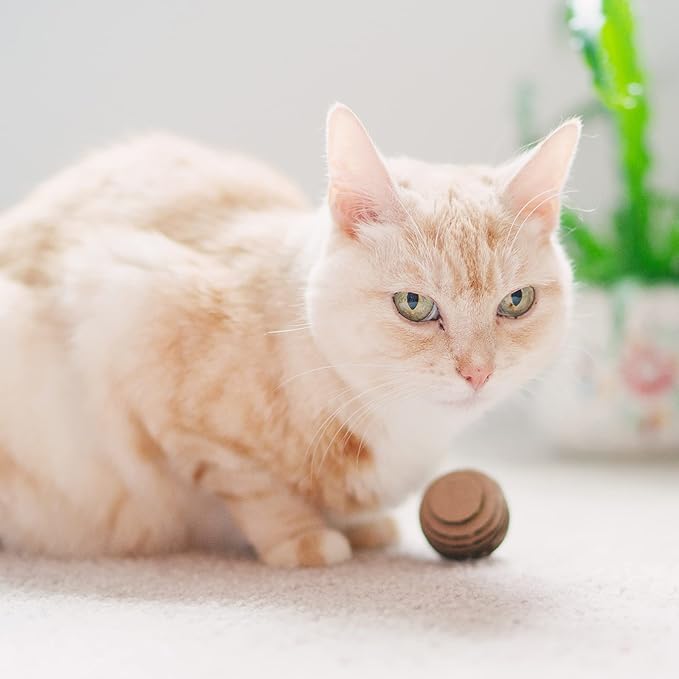 Cat Ball Toys by Americat – Made in USA – Safe Cardboard Cat Toys – for Interactive and Independent Play, Exercise & Stress Relief for All Breeds & Ages (Pack of 3 Round Balls)-PawvioPets