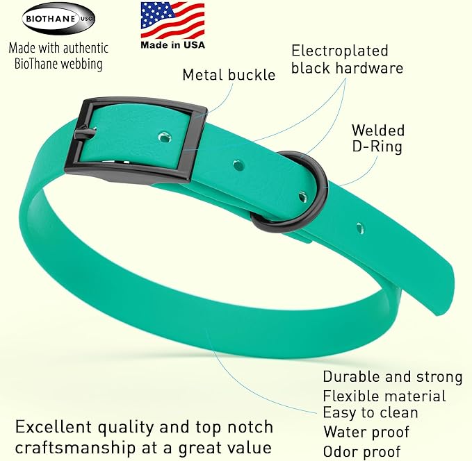 Dogline Biothane Waterproof Dog Collar Strong Coated Nylon Webbing with Black Hardware Odor- Proof for Easy Care Easy to Clean High Performance Fits Small Medium or Large Dogs, Teal-PawvioPets