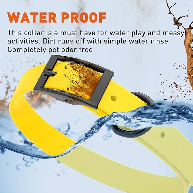 Dogline Biothane Waterproof Dog Collar Strong Coated Nylon Webbing with Black Hardware Odor- Proof for Easy Care Easy to Clean High Performance Fits Small Medium or Large Dogs, Lemon Yellow-PawvioPets