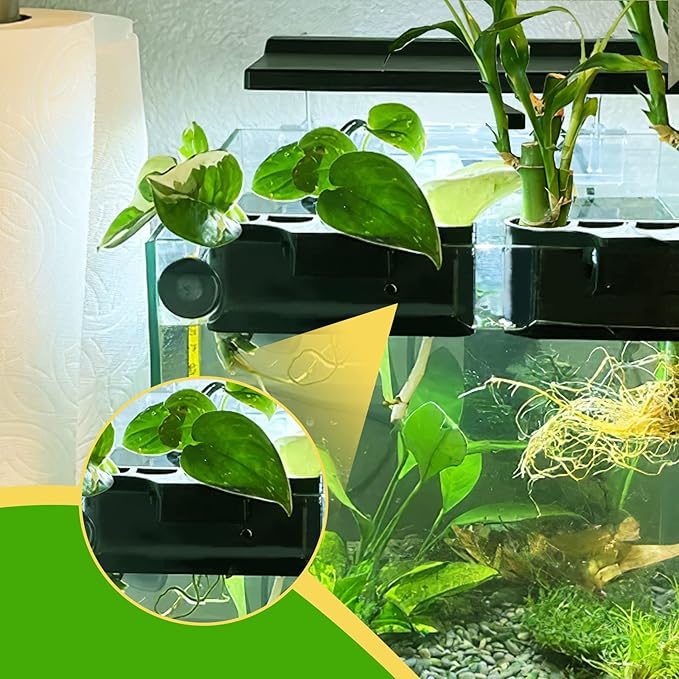 Aquarium Plant Holder for Rimmed Tank, Aquarium Hanging Plant Holder, Plastic Aquatic Plant Pot with 5 Hole, Fish Tank Decorations for Aquatic Plants, 0.5 inch-PawvioPets