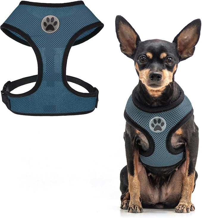 BINGPET Small Dog Harness - Breathable Mesh Puppy Cat Harnesses - No Pull Adjustable Dog Harness Dog Vest Harness for Small and Medium Dogs-PawvioPets