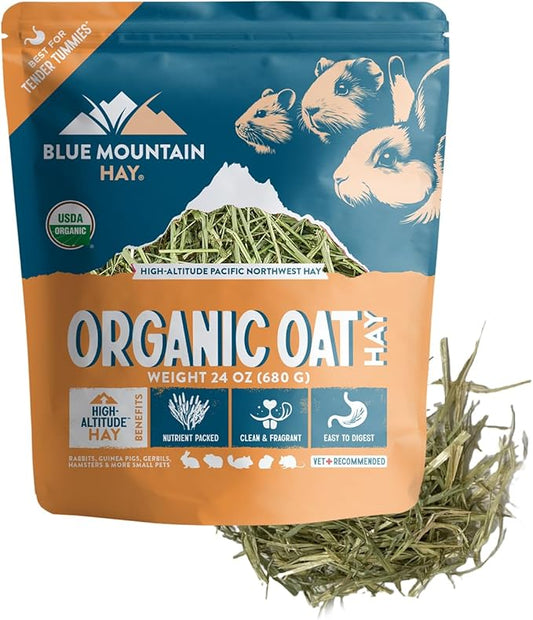 Blue Mountain Hay | Fresh Organic Oat Hay (24 Ounce) | Good for Sensitive Digestion | High-Altitude Hay Pet Food for Rabbits, Guinea Pigs, Chinchillas, Hamsters, and Other Small Pets-PawvioPets