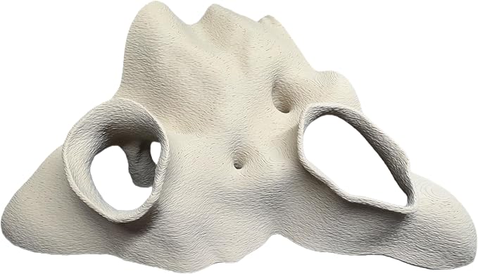 Aquarium & Terrarium Corner Cave – Faux Mangrove Root Hideout for Fish, Shrimp, Geckos, Snakes – Natural-Look Reptile Tank Decor in Textured Root Style (Desert Tan (Sand), 7.5''x7.5''x4'')-PawvioPets