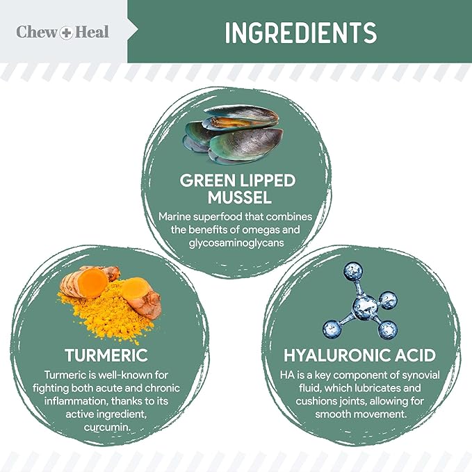 Glucosamine for Dogs Hip and Joint Supplement - 60 Senior Dogs Mobility Soft Chews - Made with Glucosamine, MSM, Chondroitin, Green Lipped Mussels and More - Made in The USA-PawvioPets