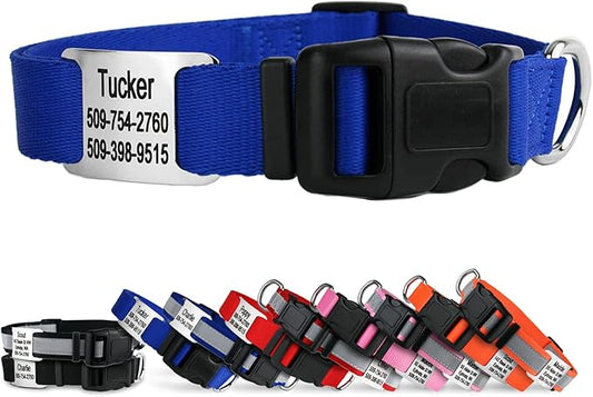 GoTags Personalized Dog Collar with Nameplate, Adjustable Dog Collar with Custom Engraved Slide On Pet ID Tag in Stainless Steel, Silent, No Noise Dog Tag for Large Medium and Small (Blue, Large)-PawvioPets