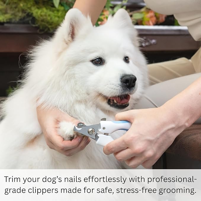 AIXINPET Dog & Cat Nail Clippers and Trimmers - with Free Nail File, Protective Guard to Avoid Over Cutting, Extra Sharp Blade - Suitable for Small to Large Dogs & Cats, Birds and Rabbits (Large)-PawvioPets